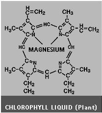 mineral magnesium